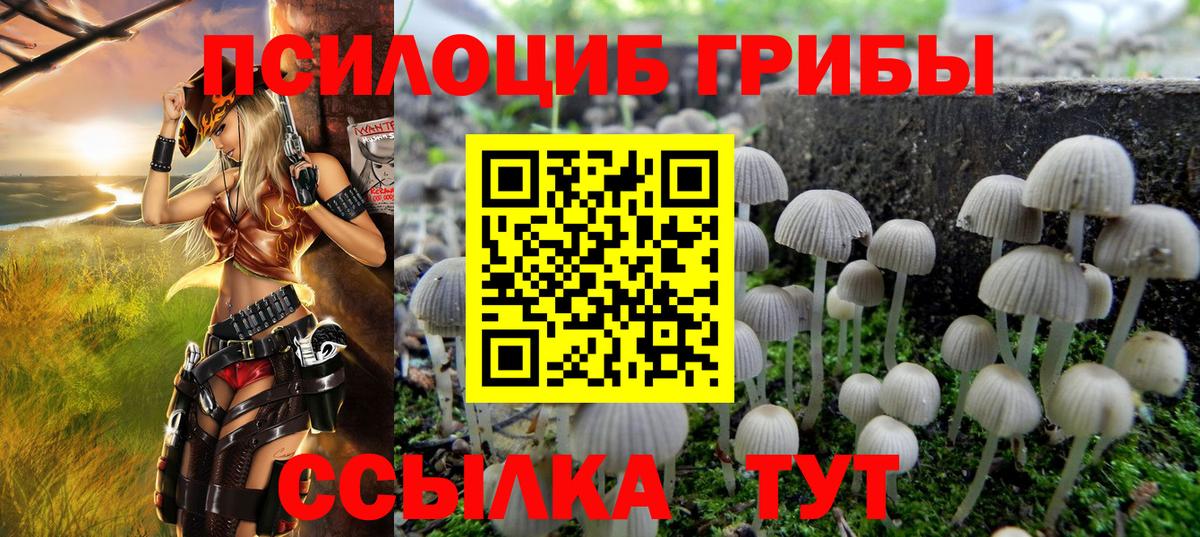 Галлюциногенные грибы Psilocybe Рассказово