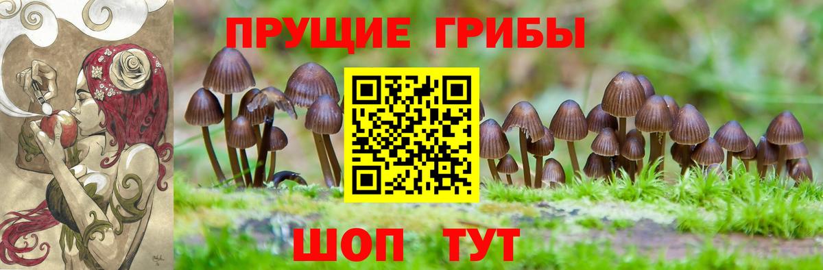 Галлюциногенные грибы ЛСД  Вход с VPN  Рассказово 